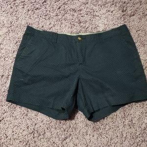 PLUS SIZE NAVY Blue Polka Dot shorts